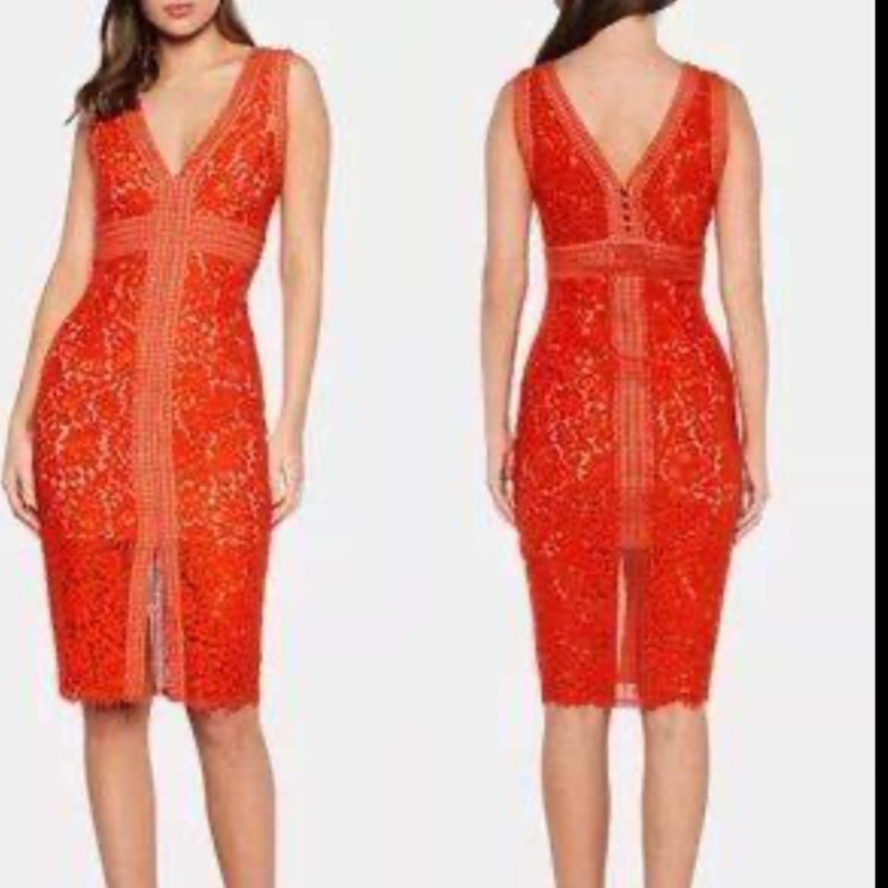 NWT orange lace midi pencil dress
